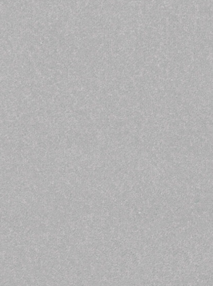 Hanse Home Collection koberce Kusový koberec Nasty 101595 Silber - 67x120 cm