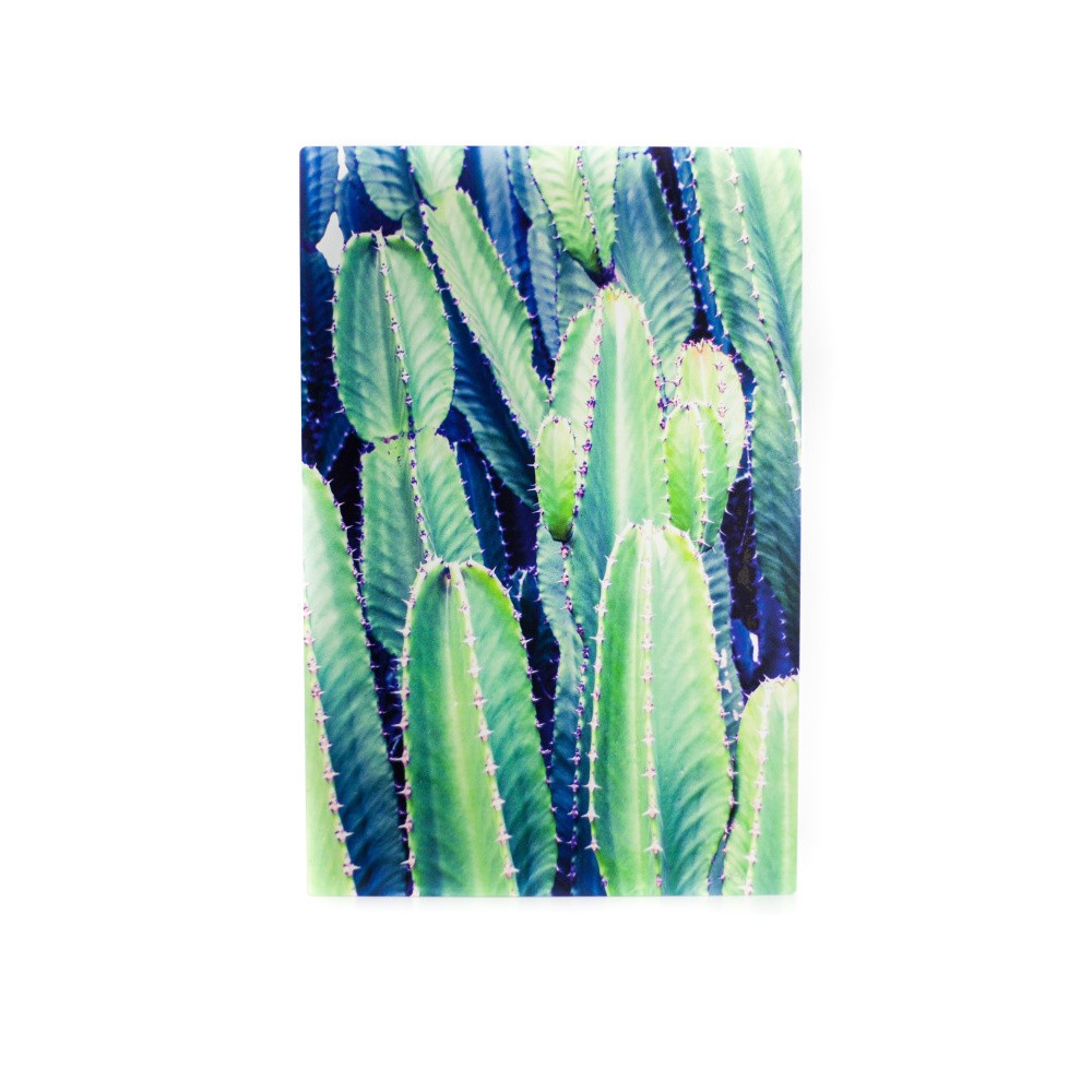 Obraz z kovu Really Nice Things Cactus, 40 x 60 cm