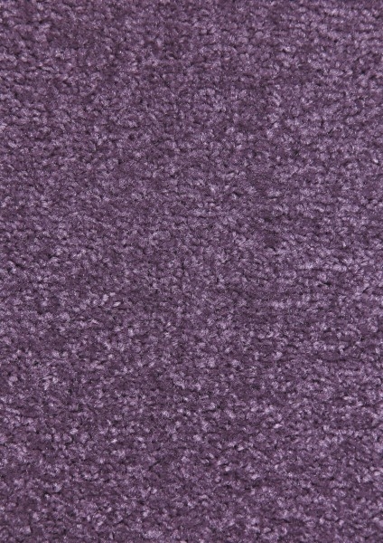 Hanse Home Collection koberce Kusový koberec Nasty 101150 Lila - 200x300 cm