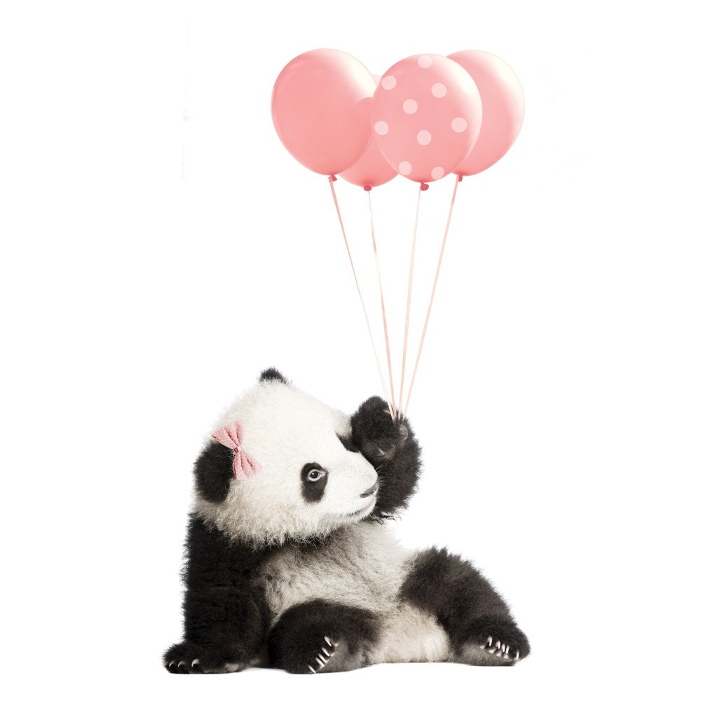 Nástenná samolepka Dekornik Pink Panda